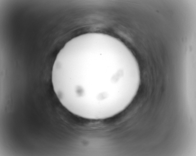 X0000088131447200706041310