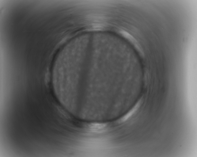 X0000088131449200706041310