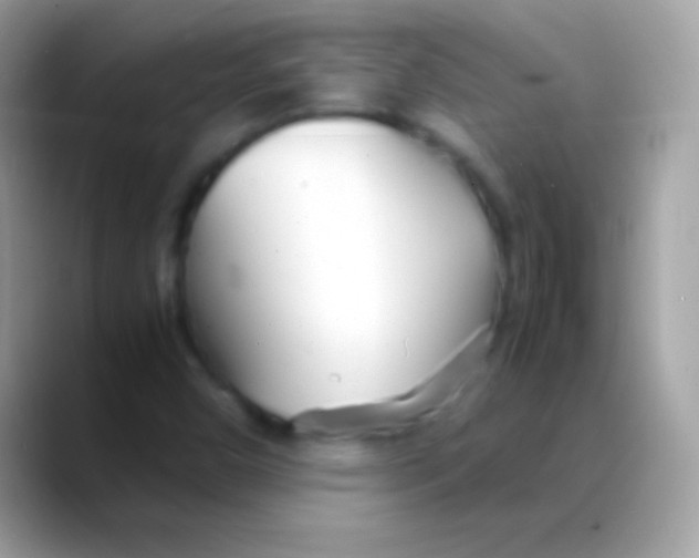 X0000088131450200706041310