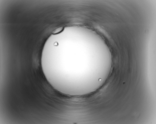 X0000088131451200706041310