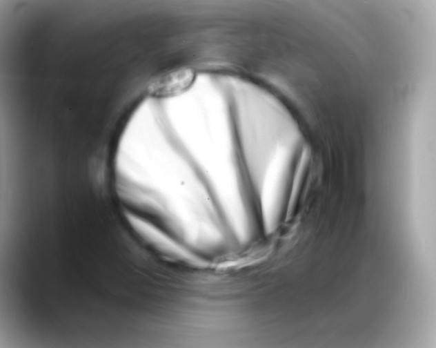 X0000088131452200706041310