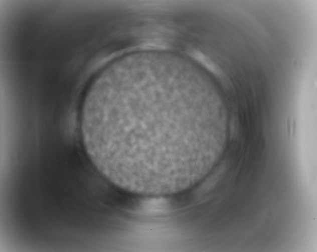 X0000088131454200706041310