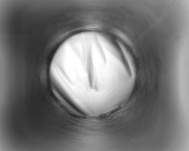 X0000088131456200706041310