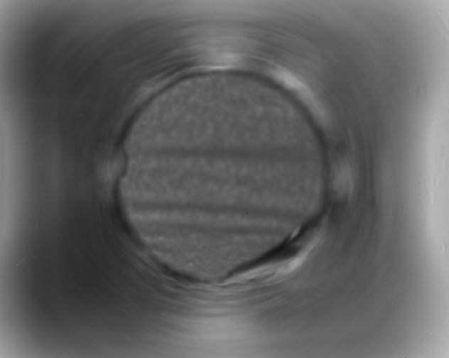 X0000088131457200706041310