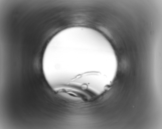 X0000088131458200706041310