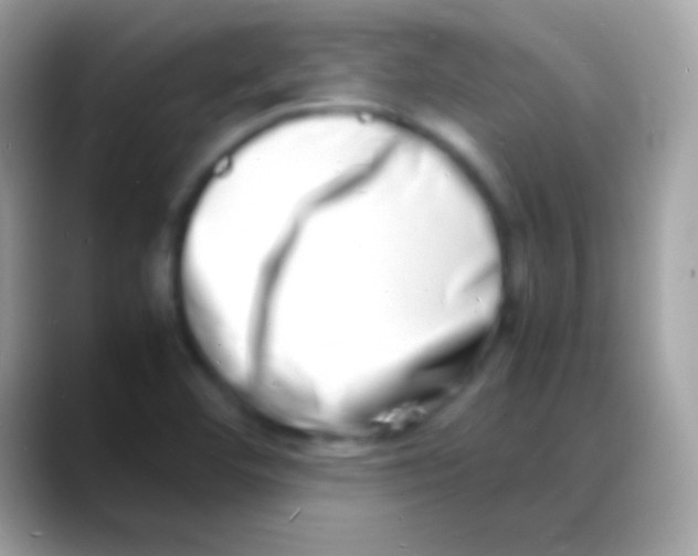 X0000088131460200706041310