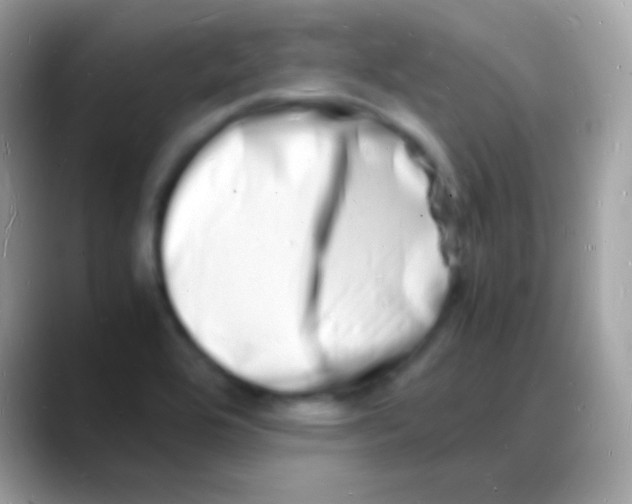 X0000088131464200706041310