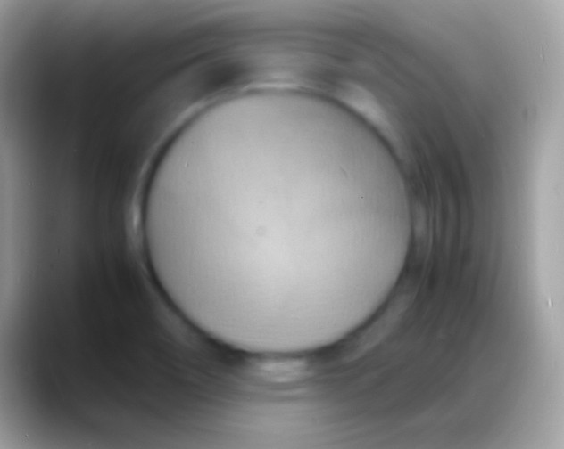 X0000088131466200706041310