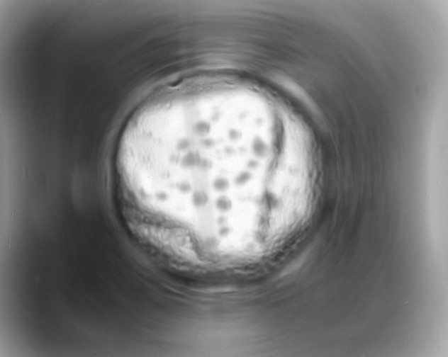 X0000088131467200706041310