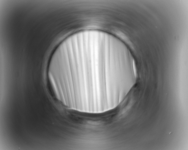 X0000088131469200706041310