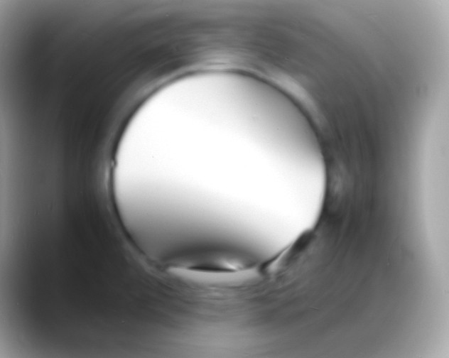 X0000088131472200706041310