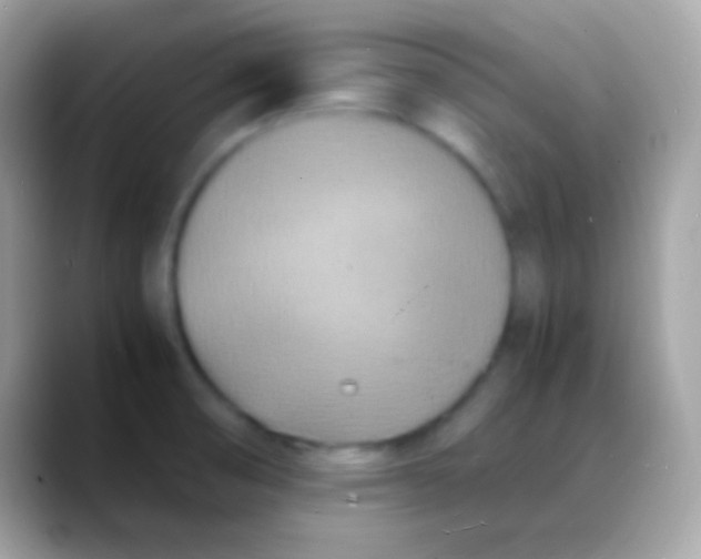 X0000088131474200706041310