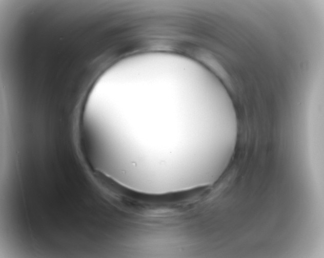 X0000088131475200706041310