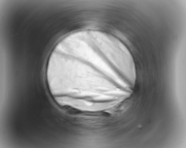 X0000088131479200706041310