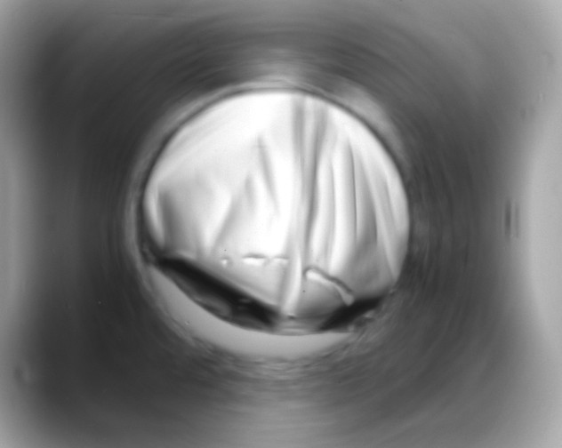 X0000088131480200706041310