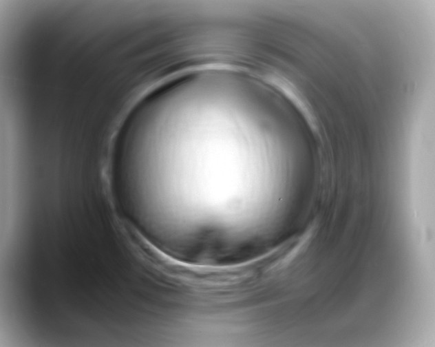 X0000088131481200706041310