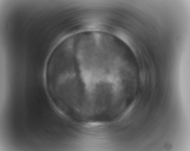 X0000088131482200706041310