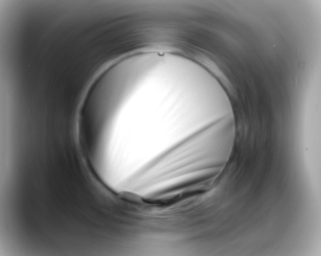 X0000088131484200706041310