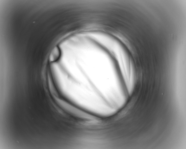 X0000088131486200706041310