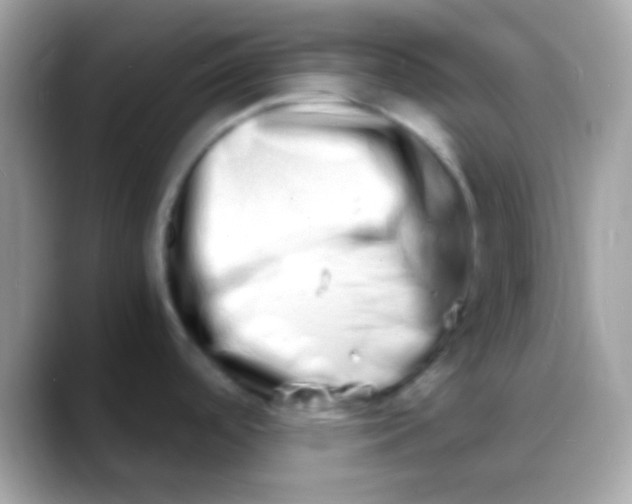 X0000088131488200706041310