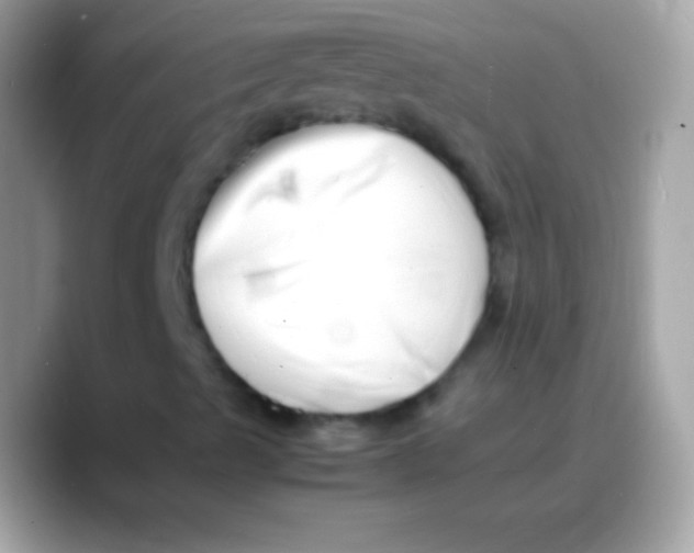 X0000088131489200706041309