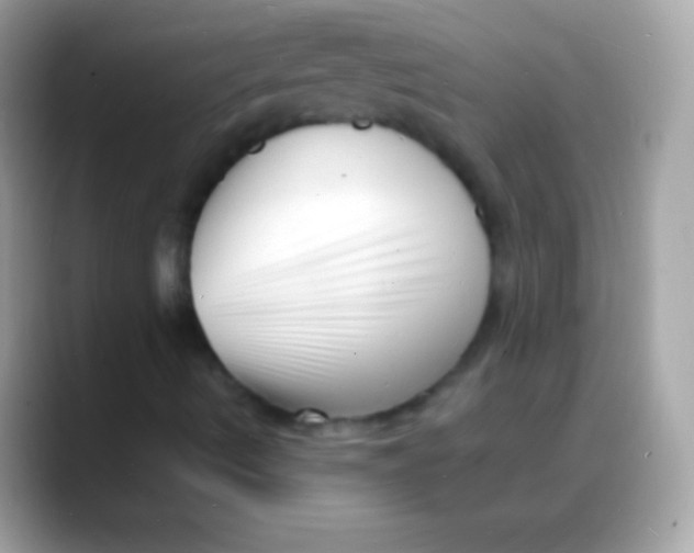 X0000088131490200706041309