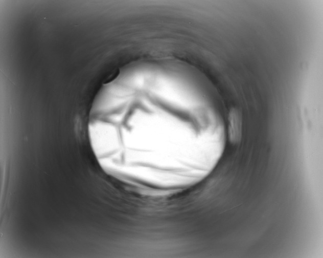 X0000088131491200706041309