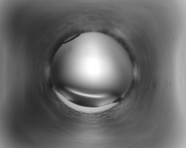 X0000088131492200706041309