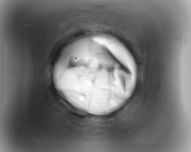 X0000088131493200706041309