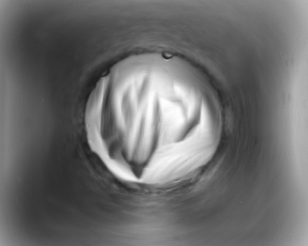 X0000088131494200706041309