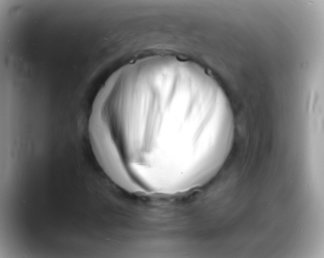 X0000088131495200706041309