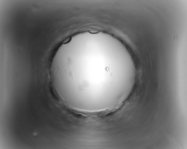 X0000088131496200706041309