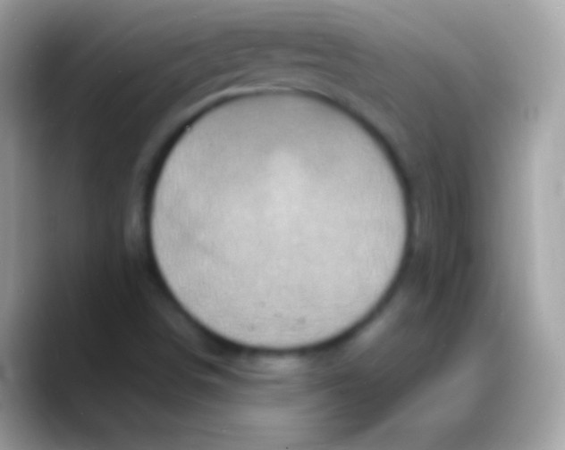 X0000088131498200706041309