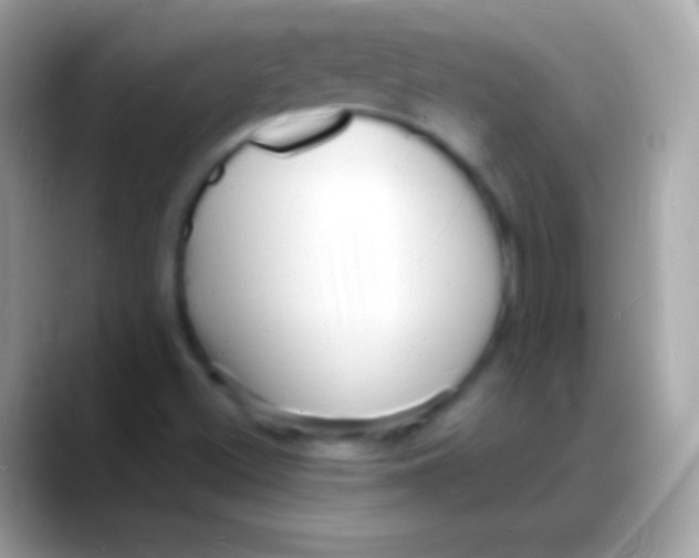 X0000088131500200706041309