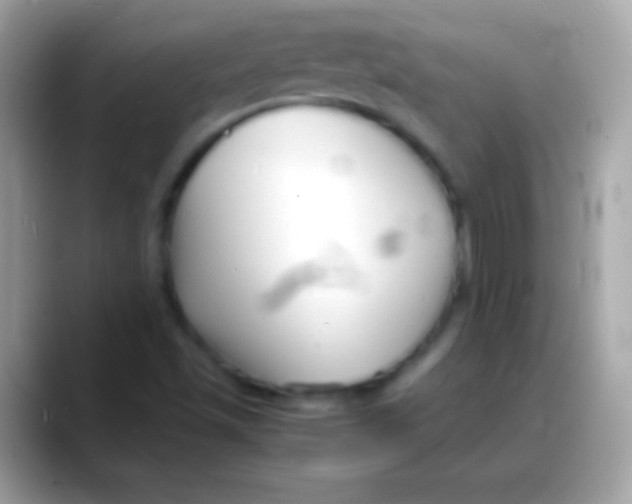 X0000088131501200706041309