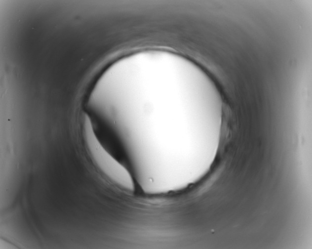 X0000088131502200706041309