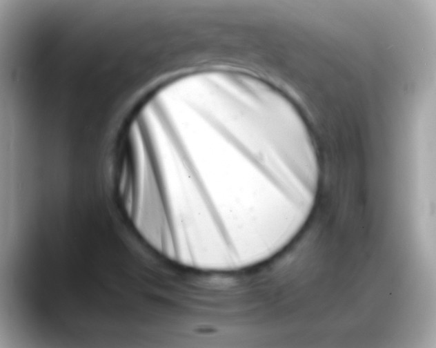 X0000088131503200706041309