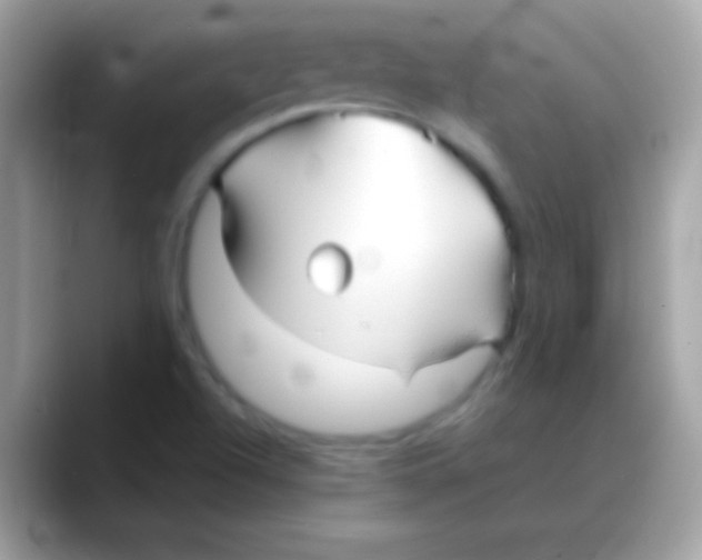 X0000088131504200706041309