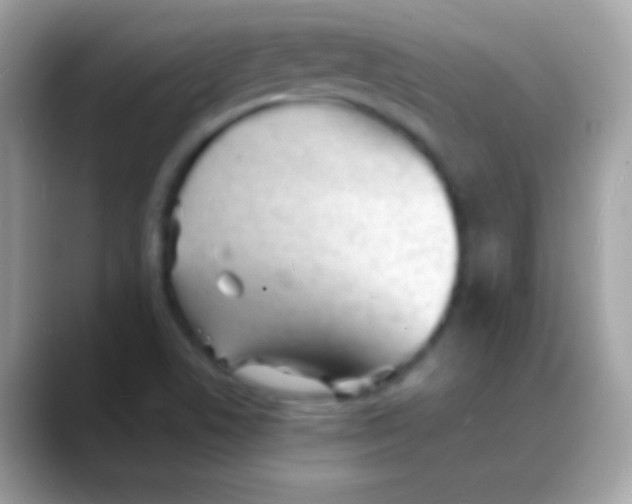 X0000088131506200706041309