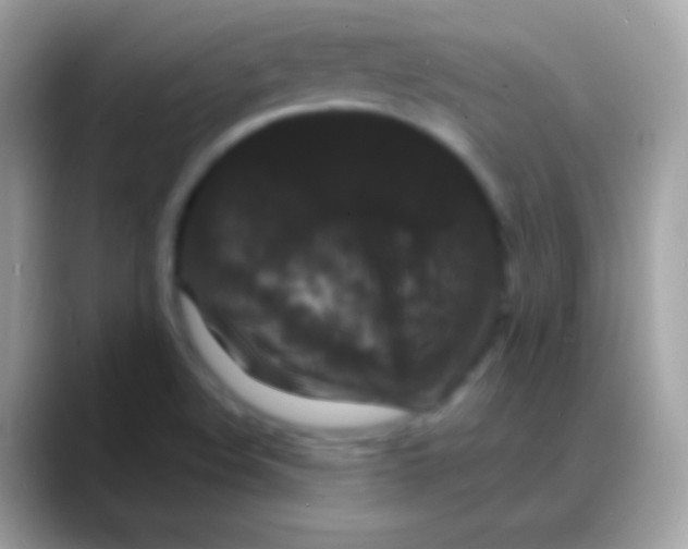 X0000088131508200706041309