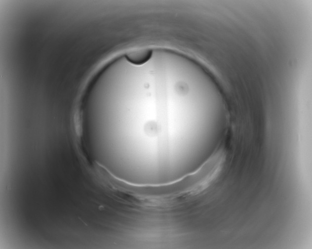 X0000088131510200706041309