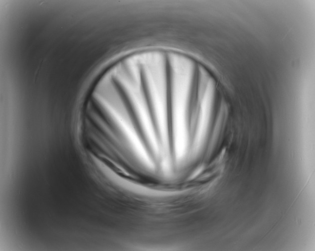 X0000088131511200706041309