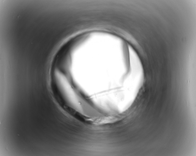 X0000088131512200706041309