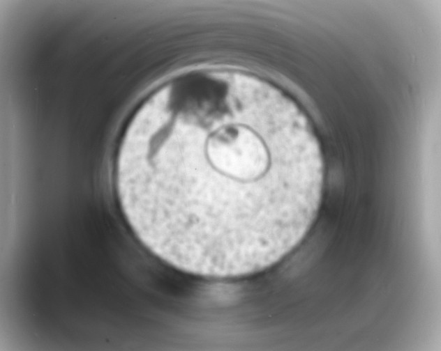 X0000088131514200706041309