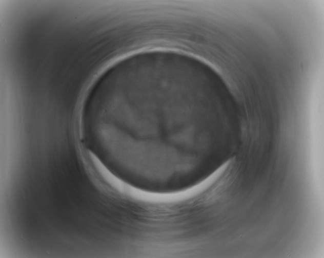 X0000088131515200706041310