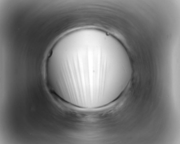 X0000088131516200706041310