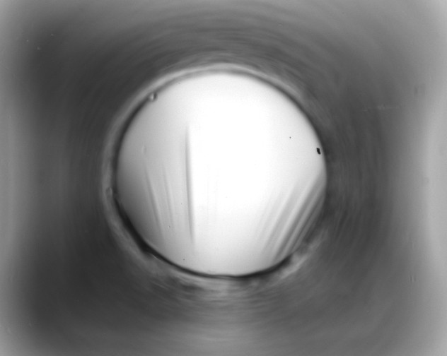 X0000088131518200706041310