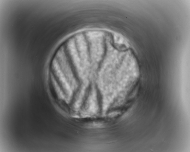 X0000088131519200706041310