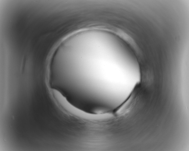 X0000088131520200706041310