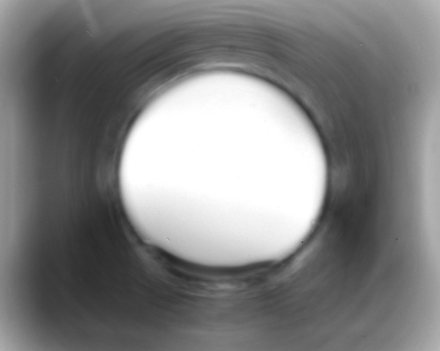 X0000088131521200706041310